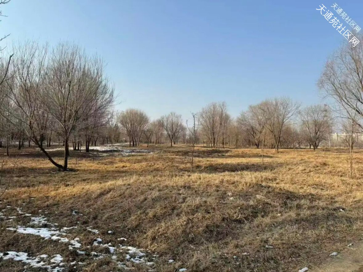 42班!1890个学位!终于天通苑首所高中要来了