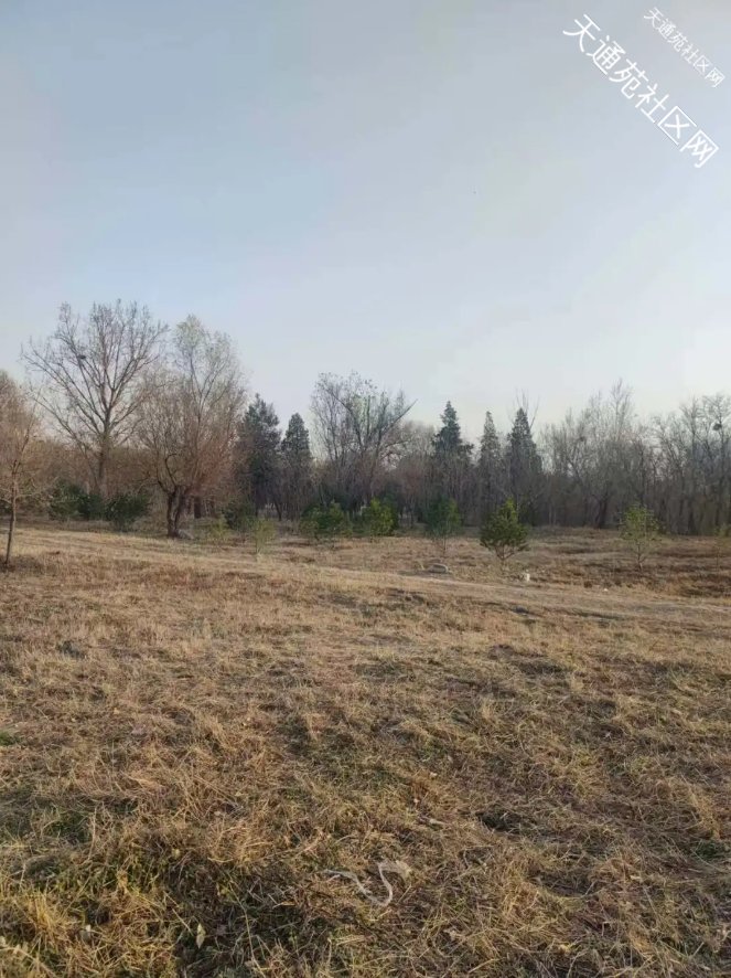 42班!1890个学位!终于天通苑首所高中要来了