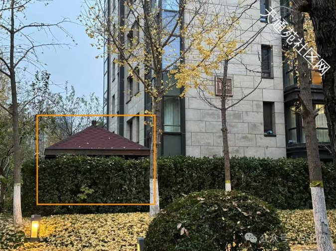 违建屡见不鲜 ,如何长效治理,63处违建认定一年多后……