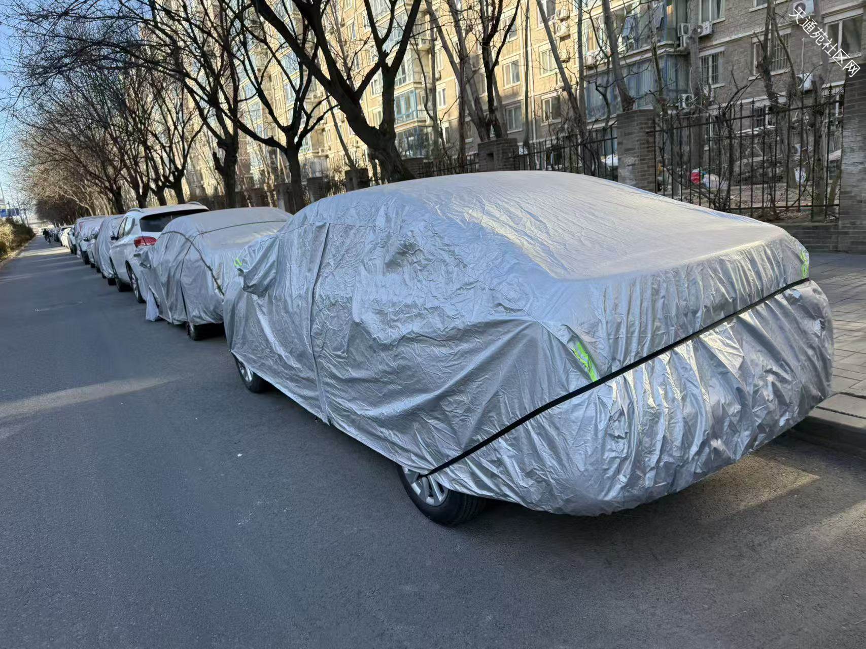 太平庄中二街尚未贴条,北二南门车少了一些