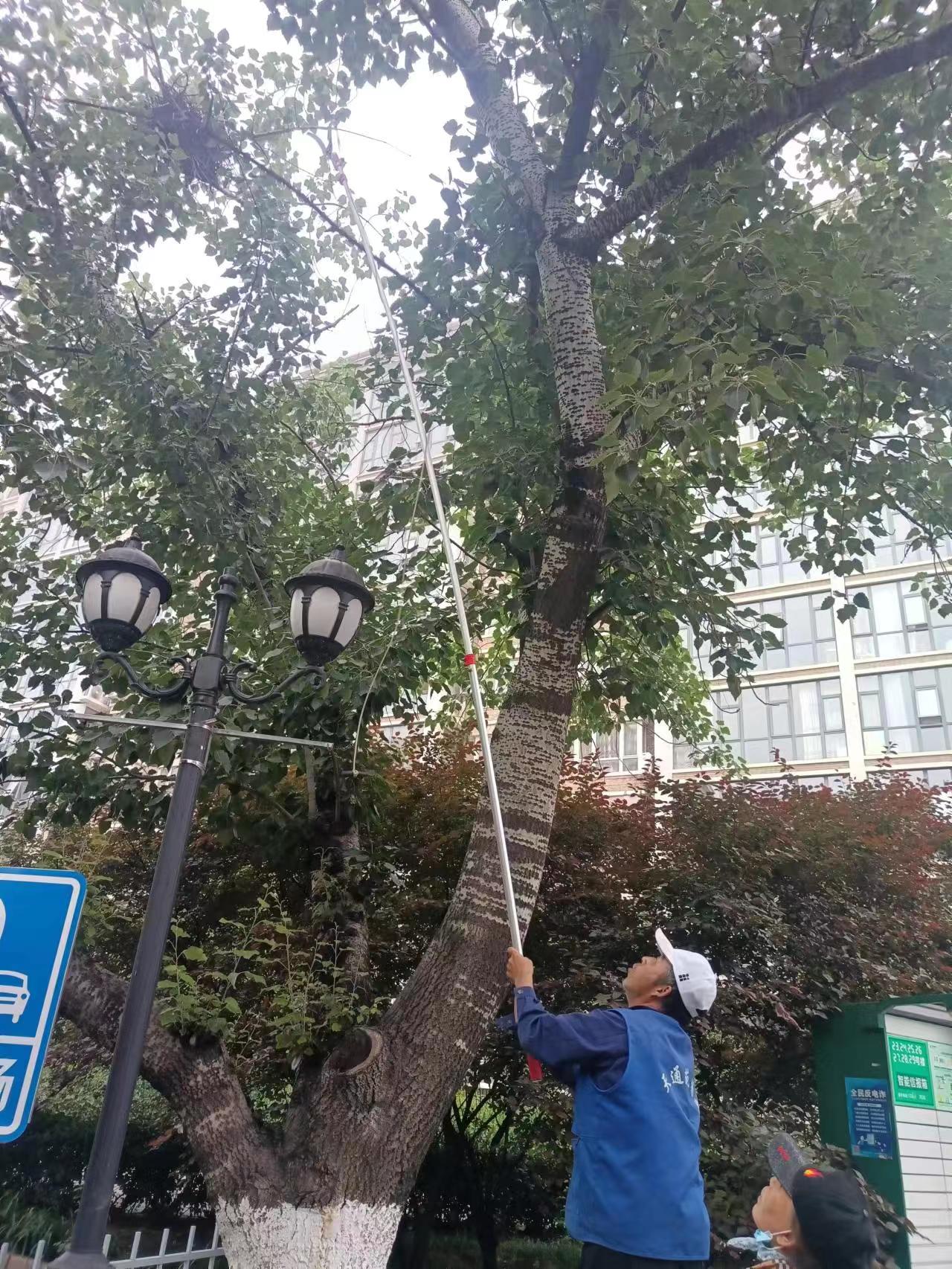 美化社区环境中苑保洁绿化分队对小区内环境卫生修剪树木养护等工作有