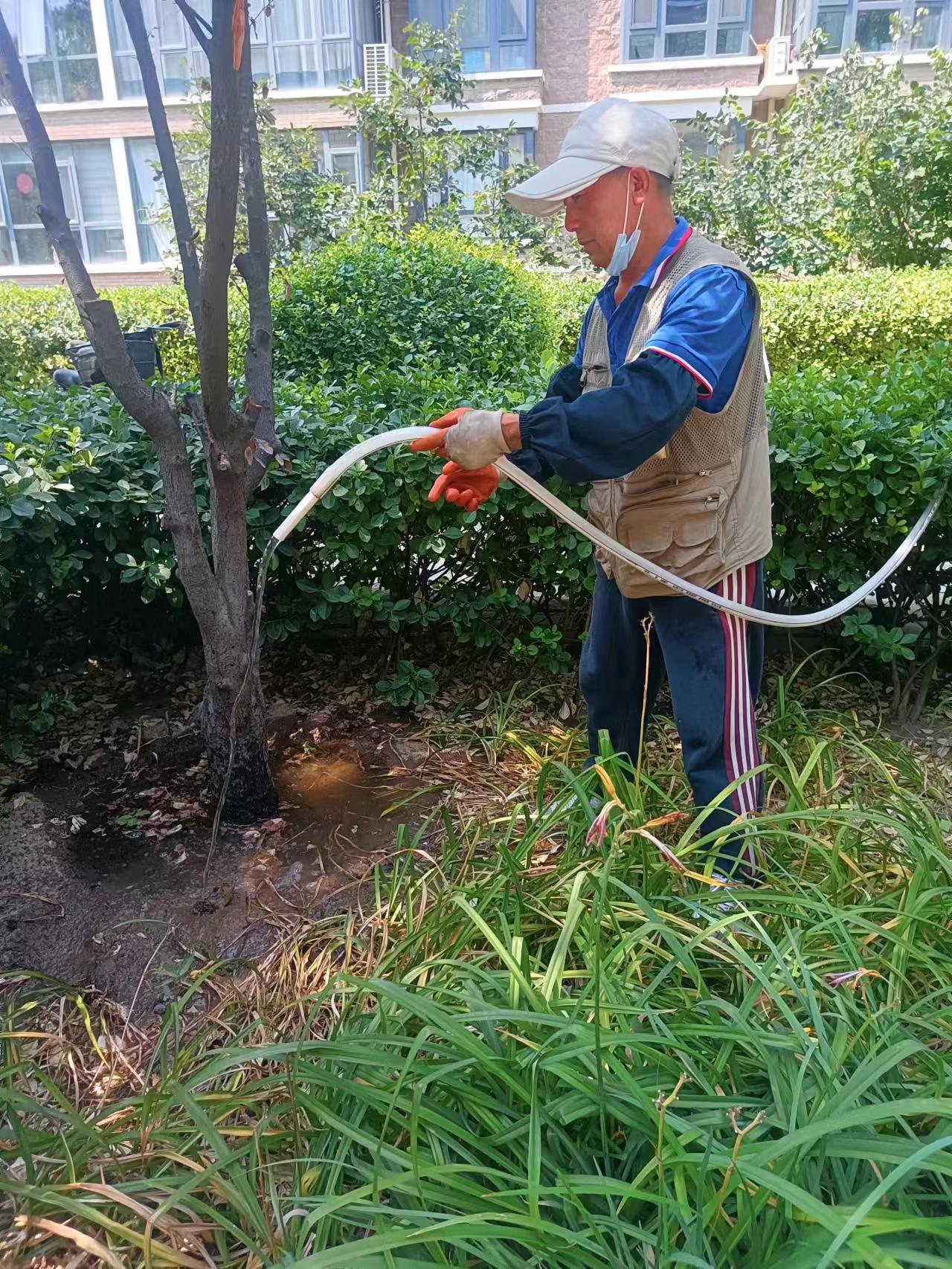 中苑保洁绿化分队对小区内环境卫生修剪树木养护等工作有序进行中