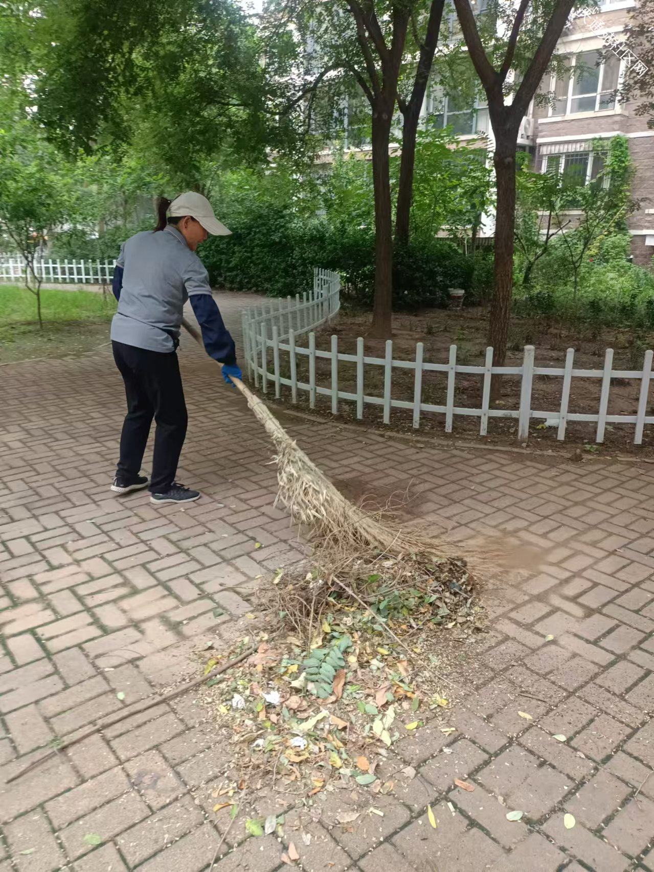 清洁新气象,重庆渝中区保洁公司引领行业风向标