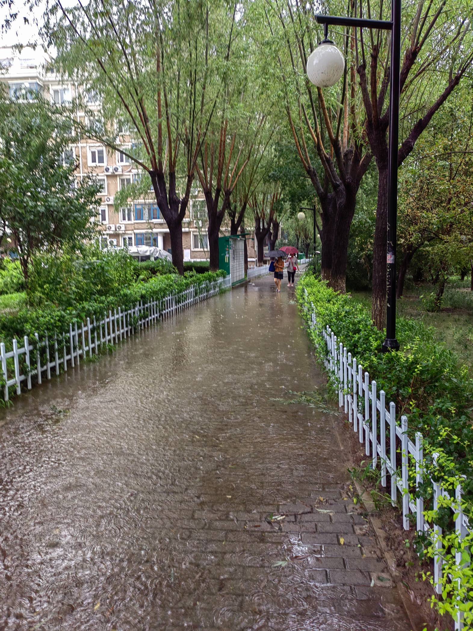 暴雨袭扰天通苑！ 天通苑社区网