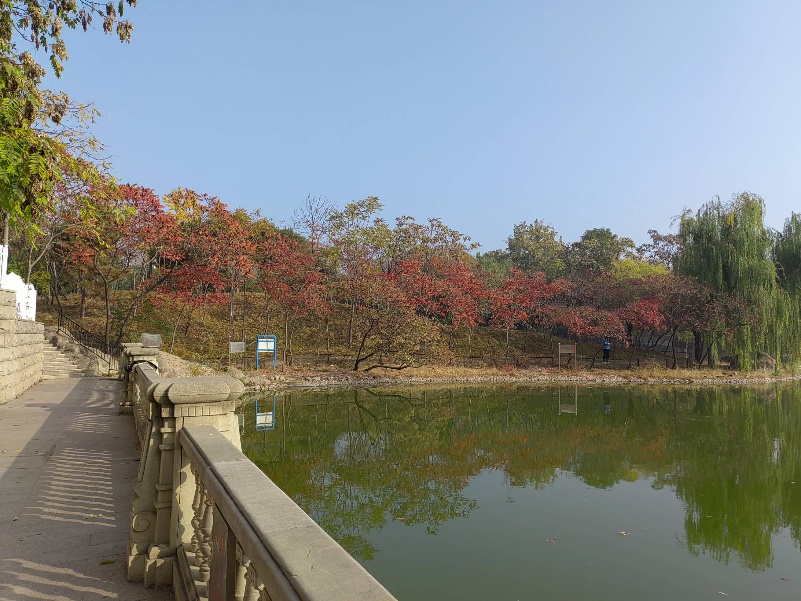 天通艺园秋美如画