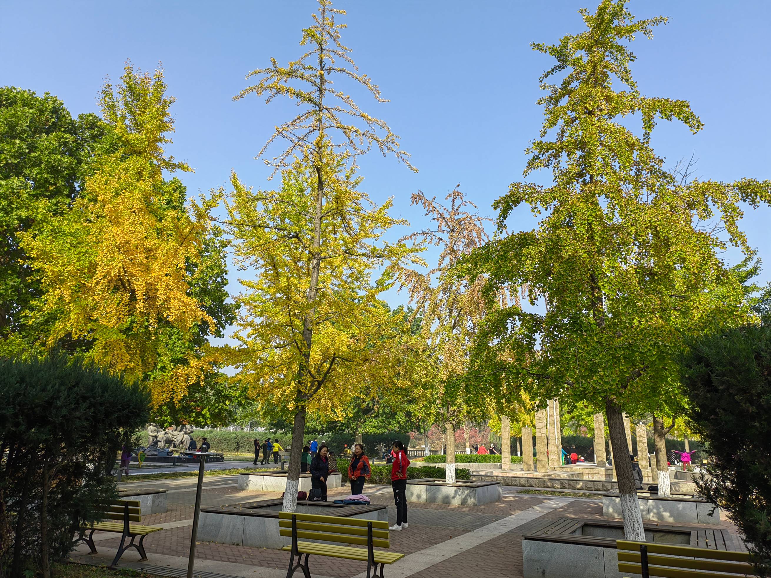 天通艺园秋美如画