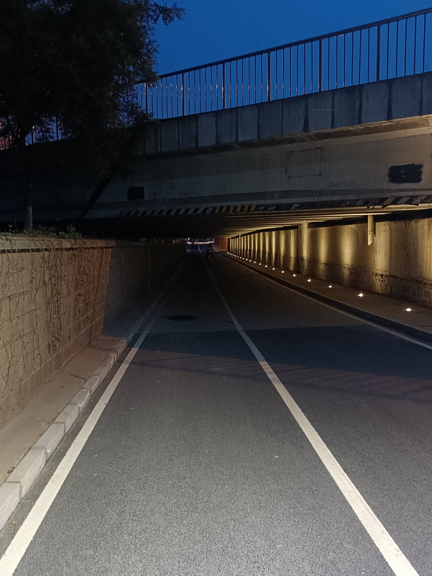 清河慢行系统夜间桥下照明需改进