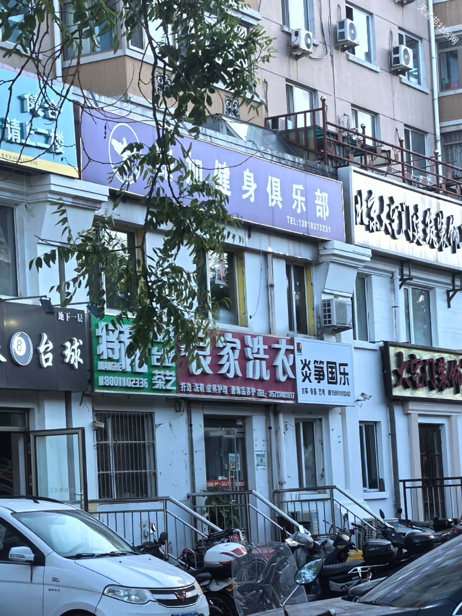 谁家橘猫丢了,东二区北门外西侧的良家洗衣门口车位