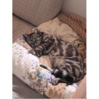 吃瓜群众某某某某某